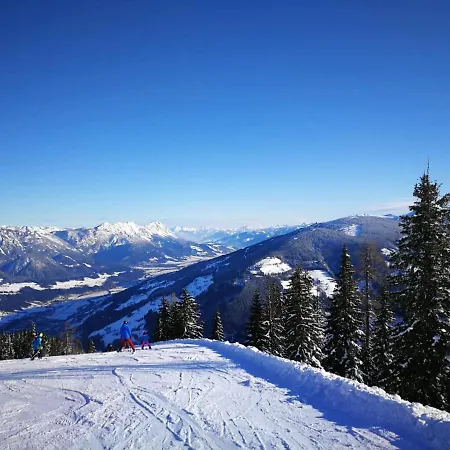Chalet Janer * Schladming