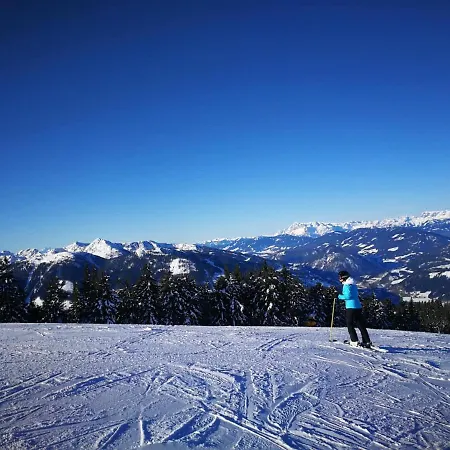 Gasthof Chalet Janer *