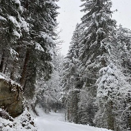Chalet Janer Pensjonat *