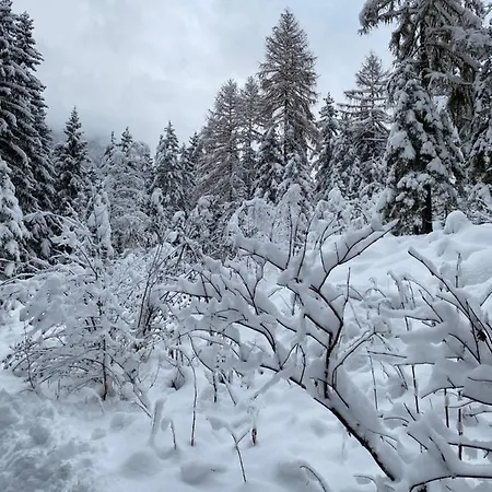 Chalet Janer